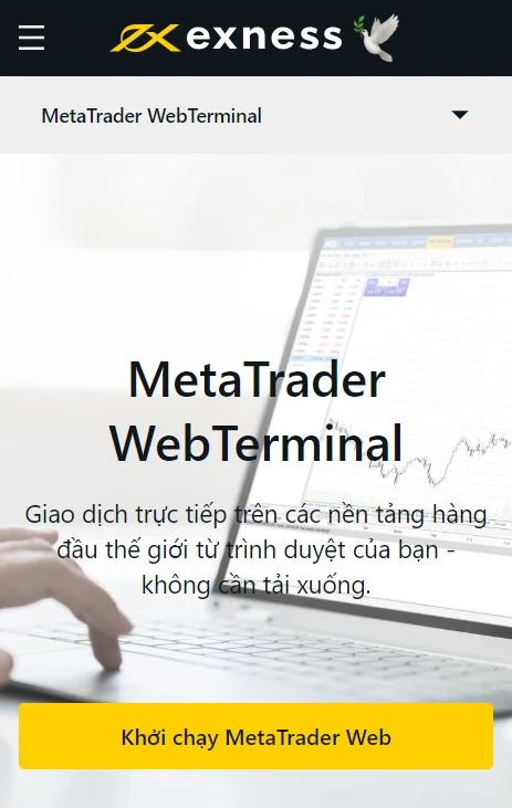 Exness MetaTrader Web Terminal