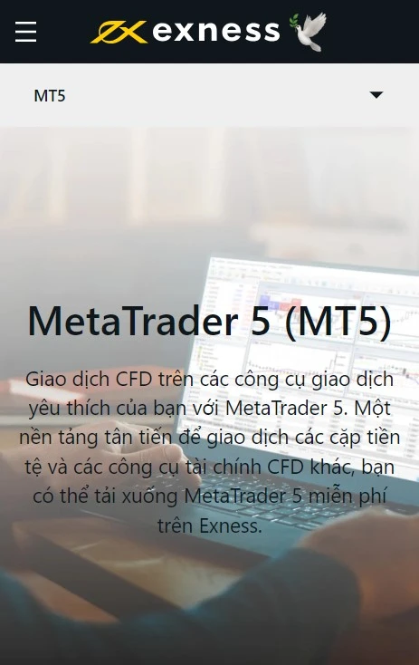 MetaTrader 5 (MT5)